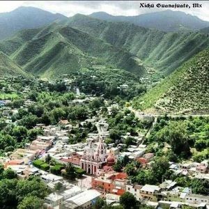 Meet your Posher, Alvin